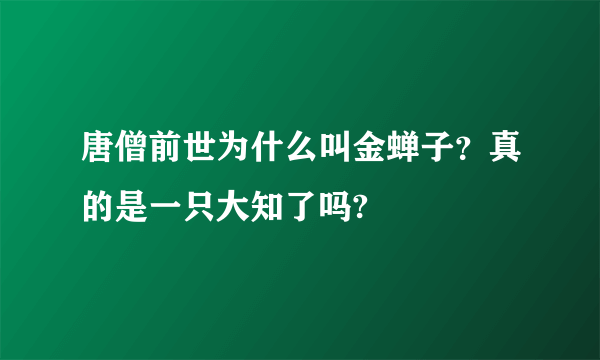 唐僧前世为什么叫金蝉子？真的是一只大知了吗?