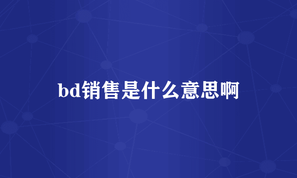 bd销售是什么意思啊