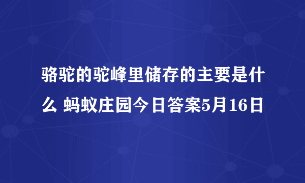 骆驼的驼峰里储存的主要是什么 蚂蚁庄园今日答案5月16日