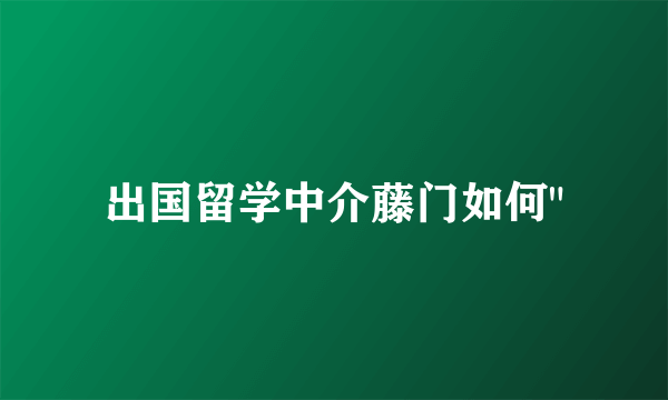 出国留学中介藤门如何