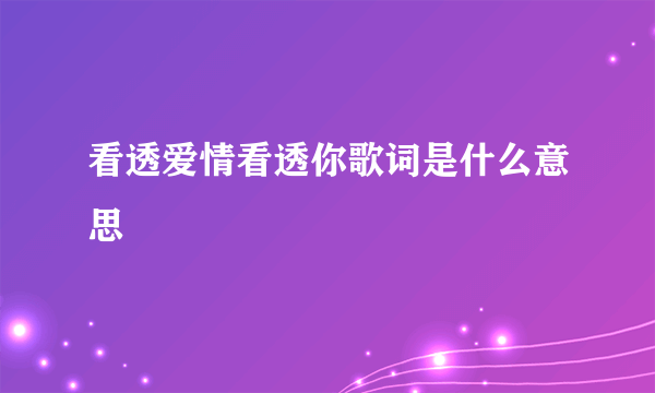 看透爱情看透你歌词是什么意思