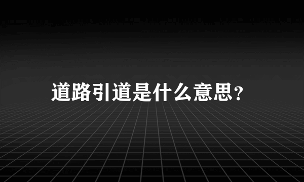 道路引道是什么意思？