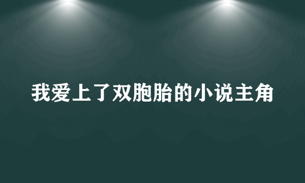 我爱上了双胞胎的小说主角