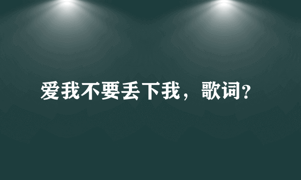 爱我不要丢下我，歌词？