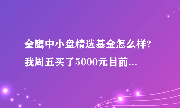 金鹰中小盘精选基金怎么样?我周五买了5000元目前形势是不是买的不是时机呀?