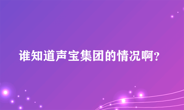 谁知道声宝集团的情况啊？