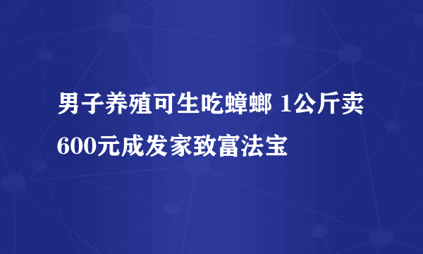 男子养殖可生吃蟑螂 1公斤卖600元成发家致富法宝