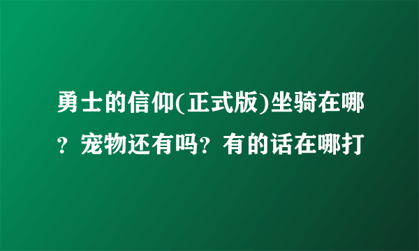 勇士的信仰(正式版)坐骑在哪？宠物还有吗？有的话在哪打