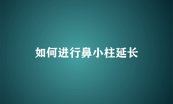 如何进行鼻小柱延长