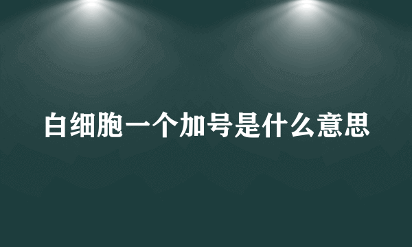 白细胞一个加号是什么意思