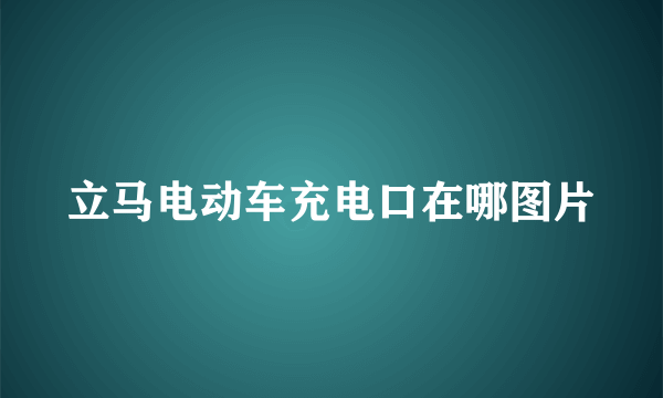 立马电动车充电口在哪图片