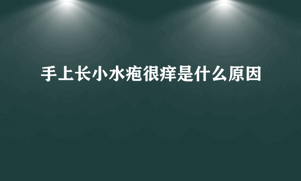 手上长小水疱很痒是什么原因