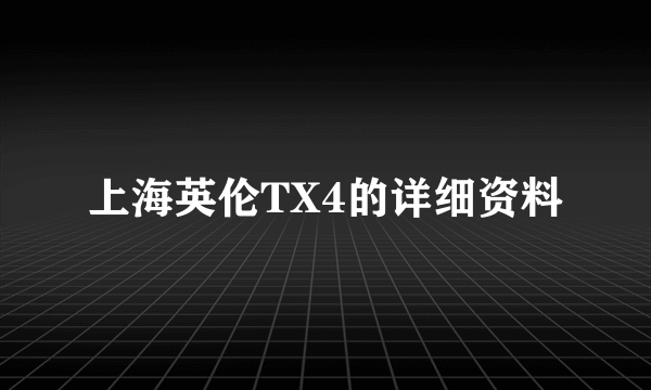 上海英伦TX4的详细资料