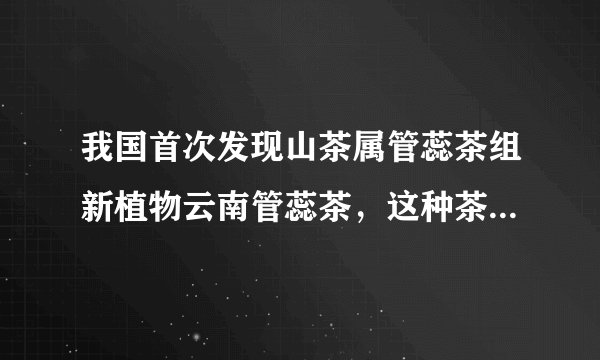 我国首次发现山茶属管蕊茶组新植物云南管蕊茶，这种茶有多稀有？
