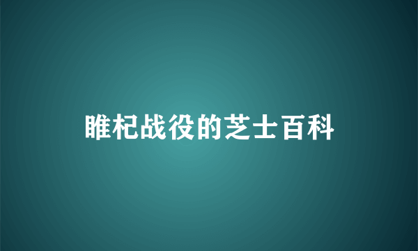 睢杞战役的芝士百科