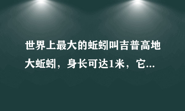 世界上最大的蚯蚓叫吉普高地大蚯蚓，身长可达1米，它最早是在被发现的