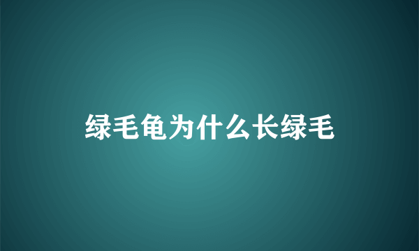 绿毛龟为什么长绿毛