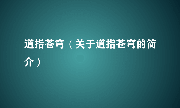 道指苍穹（关于道指苍穹的简介）