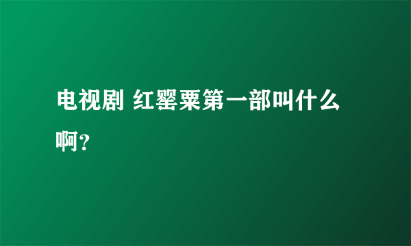 电视剧 红罂粟第一部叫什么啊？