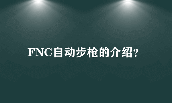 FNC自动步枪的介绍？