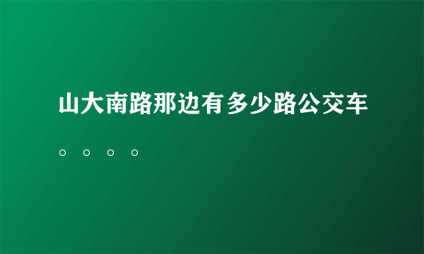 山大南路那边有多少路公交车。。。。