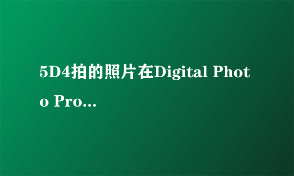 5D4拍的照片在Digital Photo Professional软件上无法调整角度