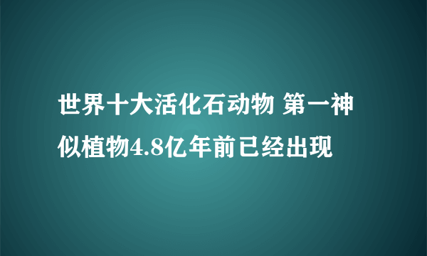 世界十大活化石动物 第一神似植物4.8亿年前已经出现