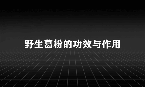 野生葛粉的功效与作用