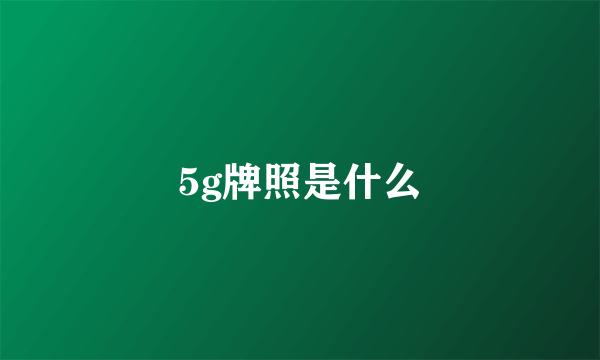 5g牌照是什么