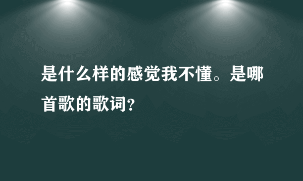 是什么样的感觉我不懂。是哪首歌的歌词？