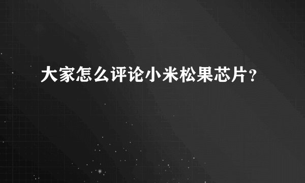 大家怎么评论小米松果芯片？