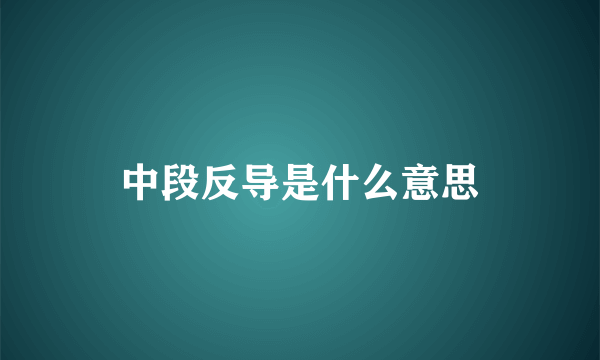 中段反导是什么意思