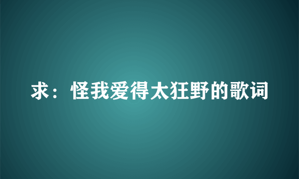 求：怪我爱得太狂野的歌词