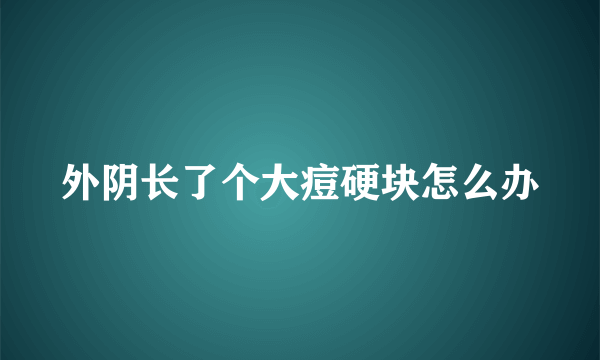 外阴长了个大痘硬块怎么办