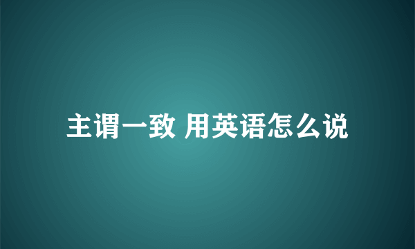 主谓一致 用英语怎么说