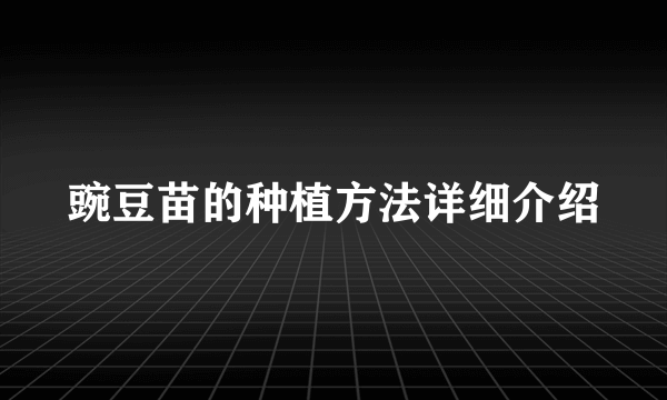 豌豆苗的种植方法详细介绍