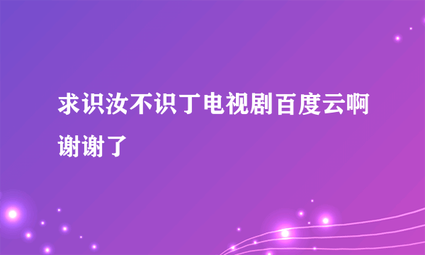 求识汝不识丁电视剧百度云啊谢谢了