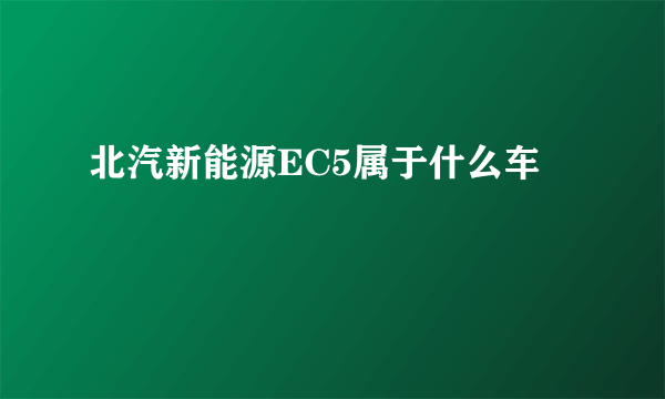 北汽新能源EC5属于什么车