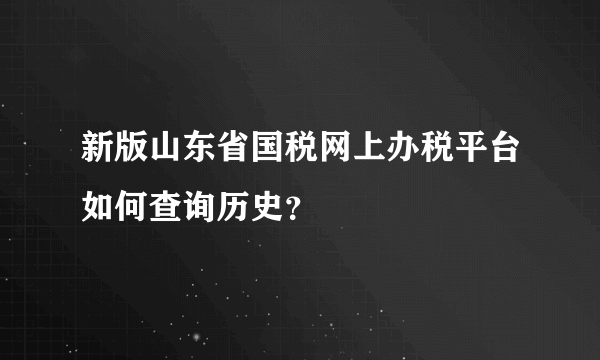 新版山东省国税网上办税平台如何查询历史？