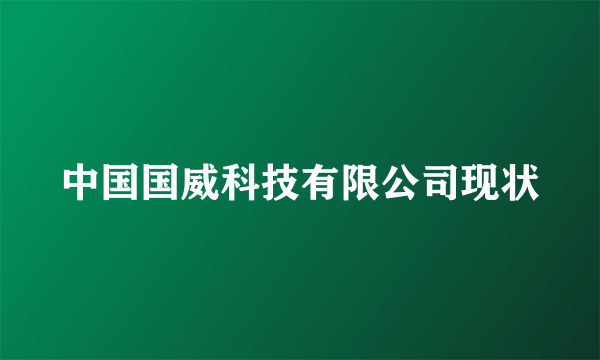 中国国威科技有限公司现状