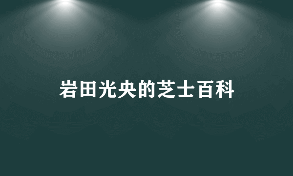 岩田光央的芝士百科