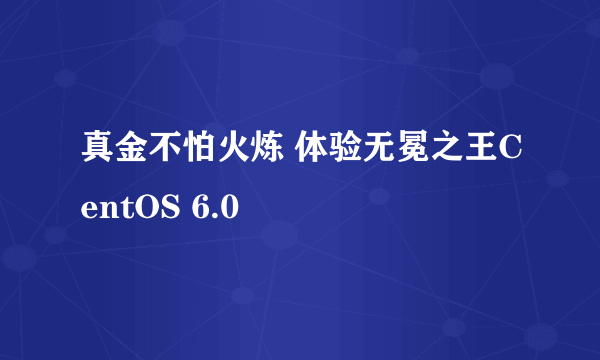 真金不怕火炼 体验无冕之王CentOS 6.0