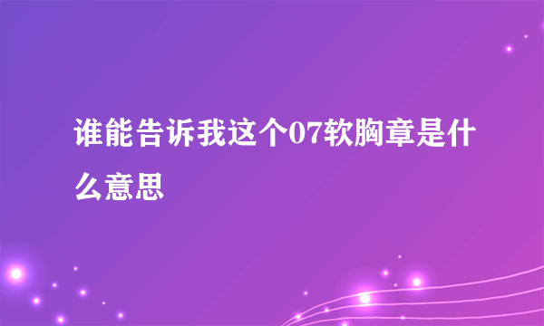 谁能告诉我这个07软胸章是什么意思