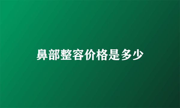 鼻部整容价格是多少