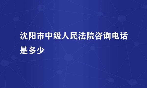 沈阳市中级人民法院咨询电话是多少