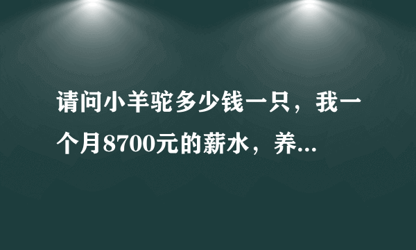 请问小羊驼多少钱一只，我一个月8700元的薪水，养得起吗？ - 芝士回答