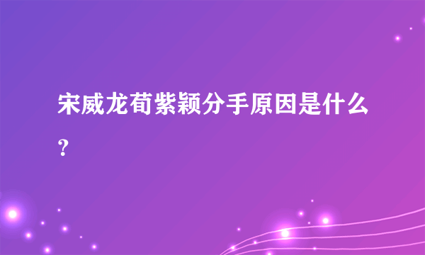 宋威龙荀紫颖分手原因是什么？