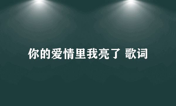 你的爱情里我亮了 歌词