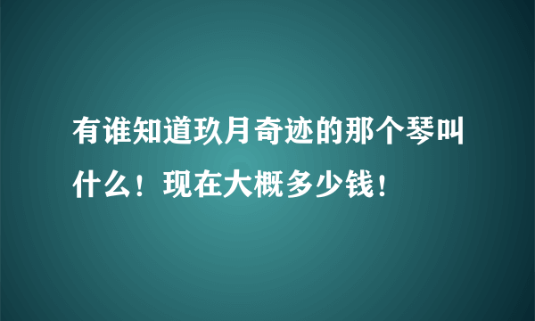 有谁知道玖月奇迹的那个琴叫什么！现在大概多少钱！