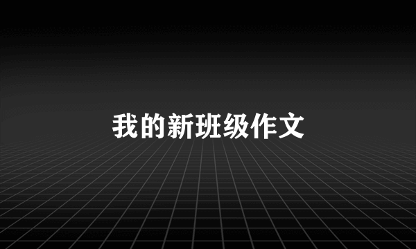 我的新班级作文